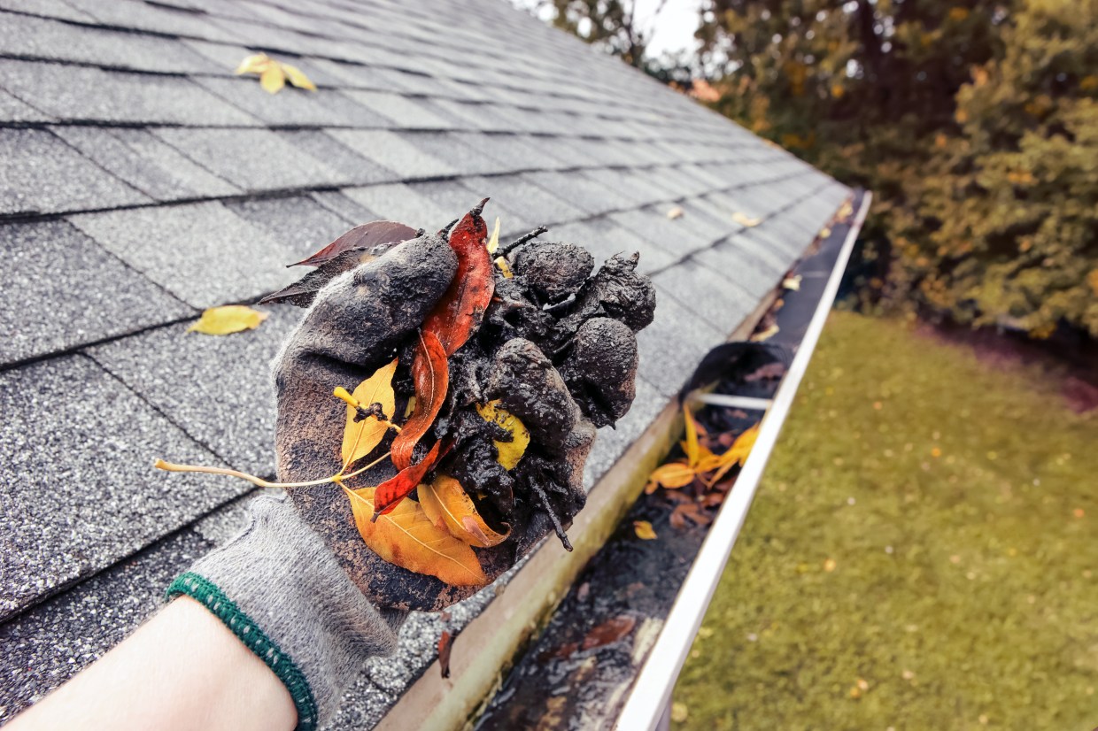 hand cleaning out gutter