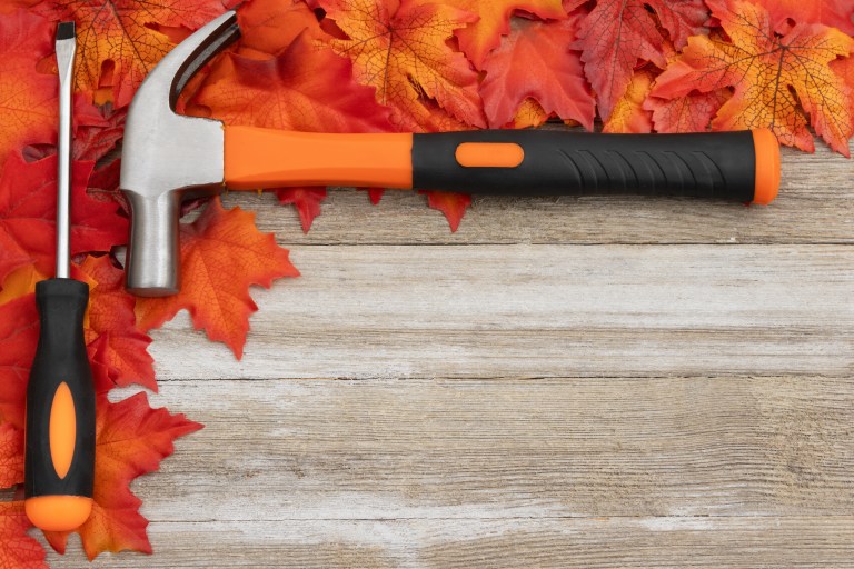 fall leaves with hammer and screwdriver