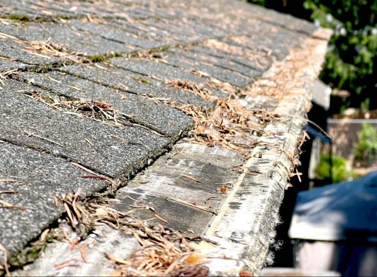 Leaf Filter Clogged by Leaf Debris